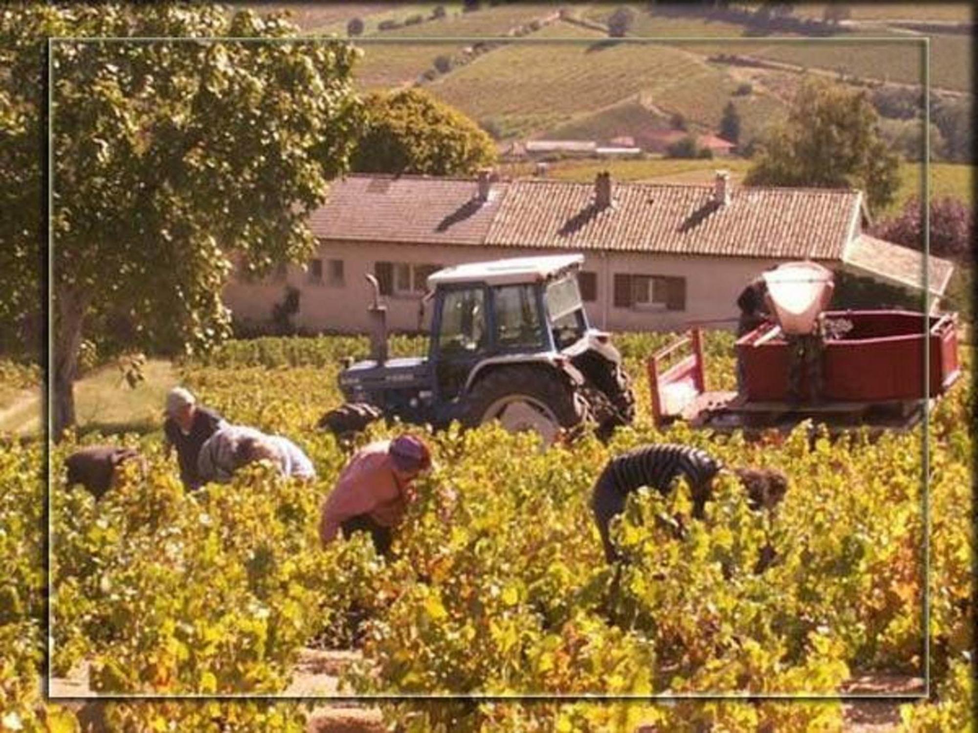 Bed and Breakfast La Croix De Saburin Quincié-en-Beaujolais Exteriér fotografie